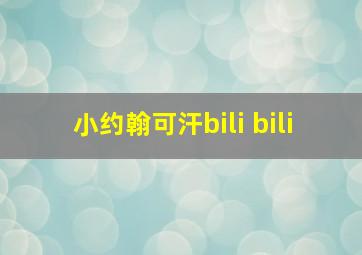 小约翰可汗bili bili